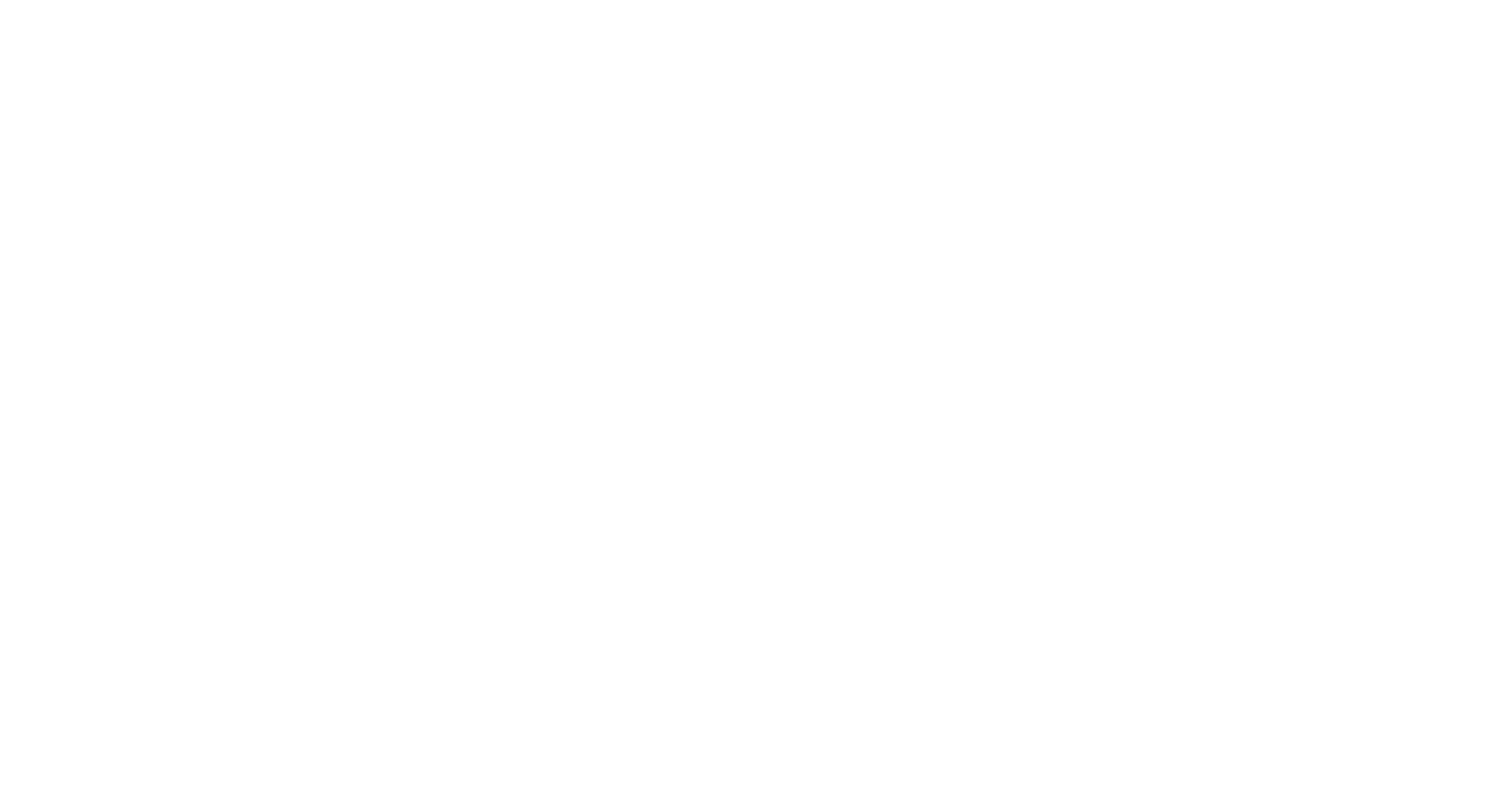 zinke_car_weiss